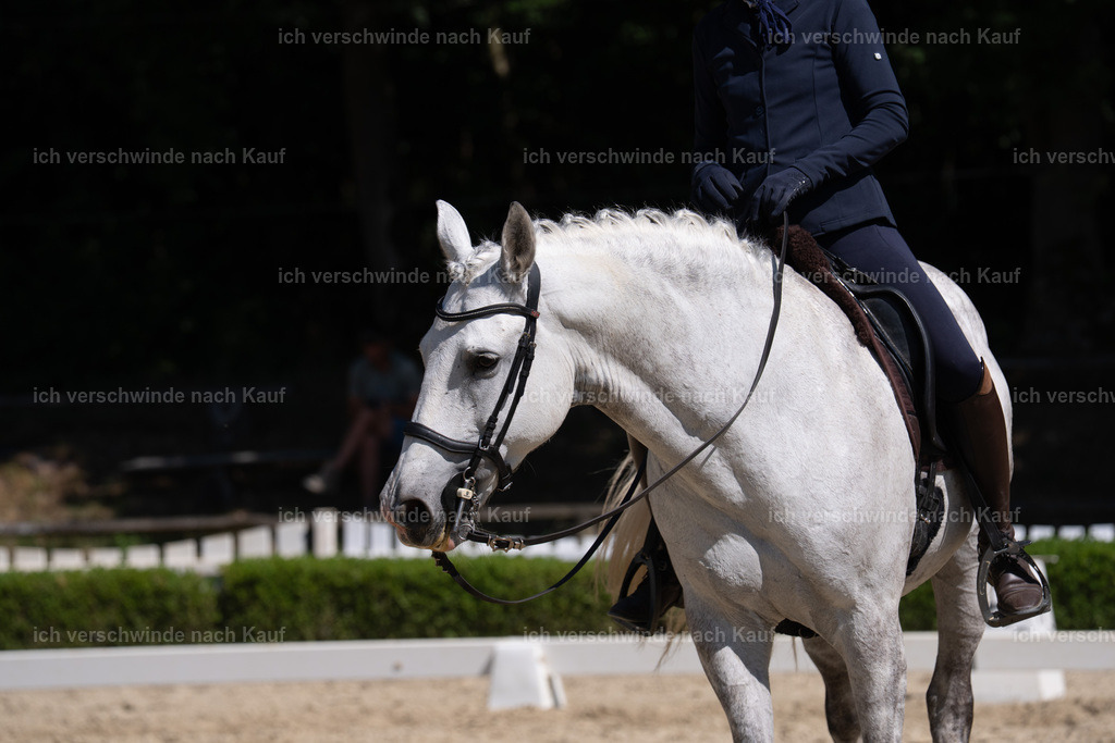 WS_DR_139_sinafilmart_IN03753 | working equitationturnier fotograf videograf stoibphotography marixx film working equitation deutschland reitsport turnierfotografie eventfotografie equestrian events
