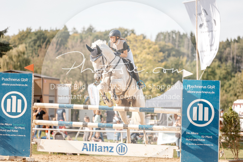 3I6A5028 | Stimmungsvolle Portraits und Reitsportfotografie im Ruhrgebiet und im Münsterland.

Pferdefotografie, Hundefotografie, Tierfotografie, Reportagen, Portraits von Tier und Mensch, Turnierfotografie in Bochum, Recklinghausen, Marl, Haltern am See, Dülmen.. - Realisiert mit Pictrs.com