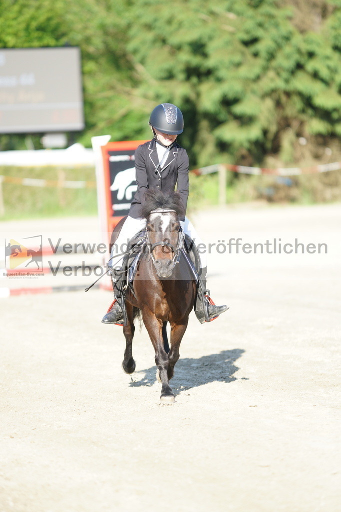 DSC05866 | equestrian-live-com