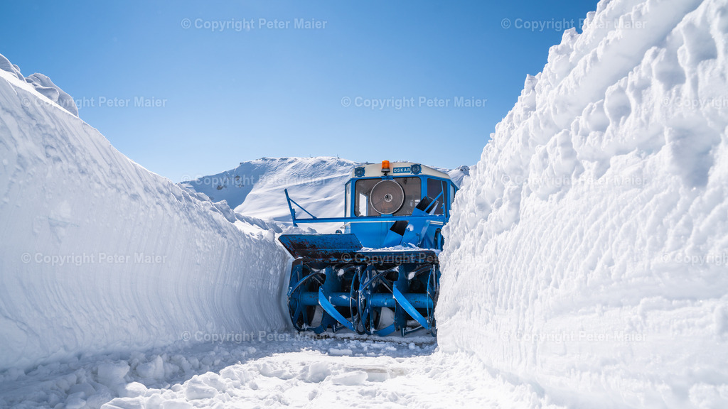 Auswahl NPR | piet_flosse