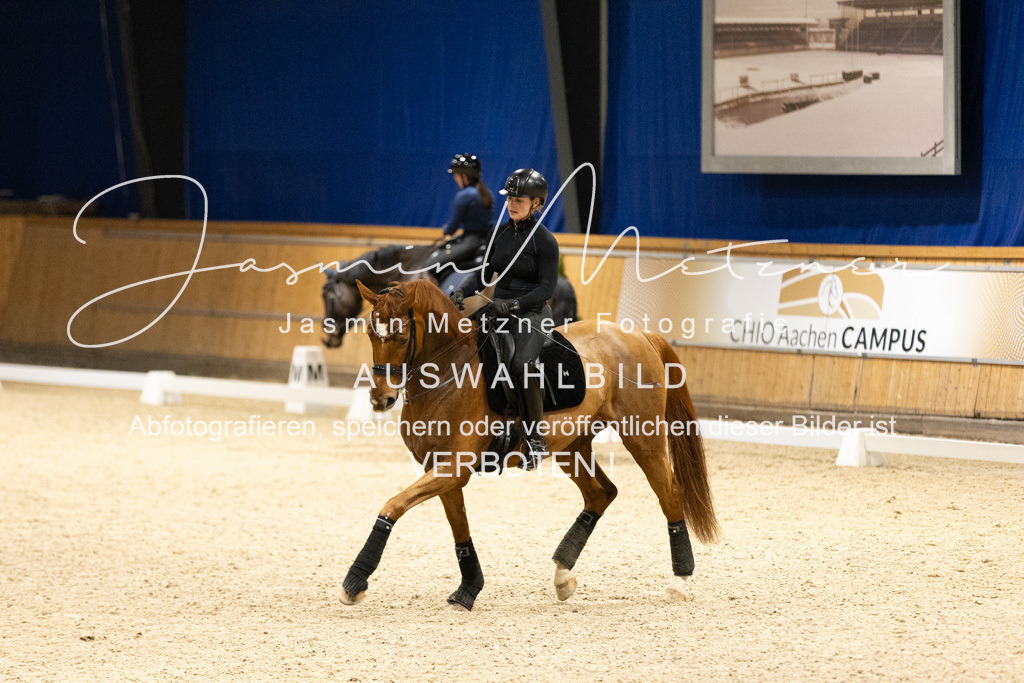 126A7063 | jasminmetznerfotografie