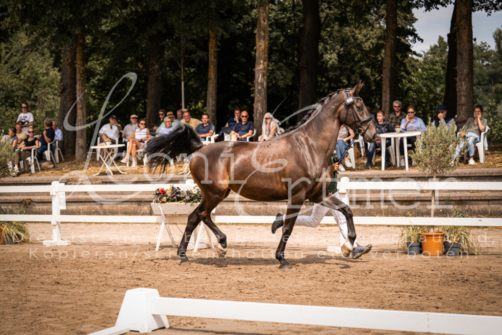 3.Fr00053 | Leoni Ertmer Photography - Realisiert mit Pictrs.com