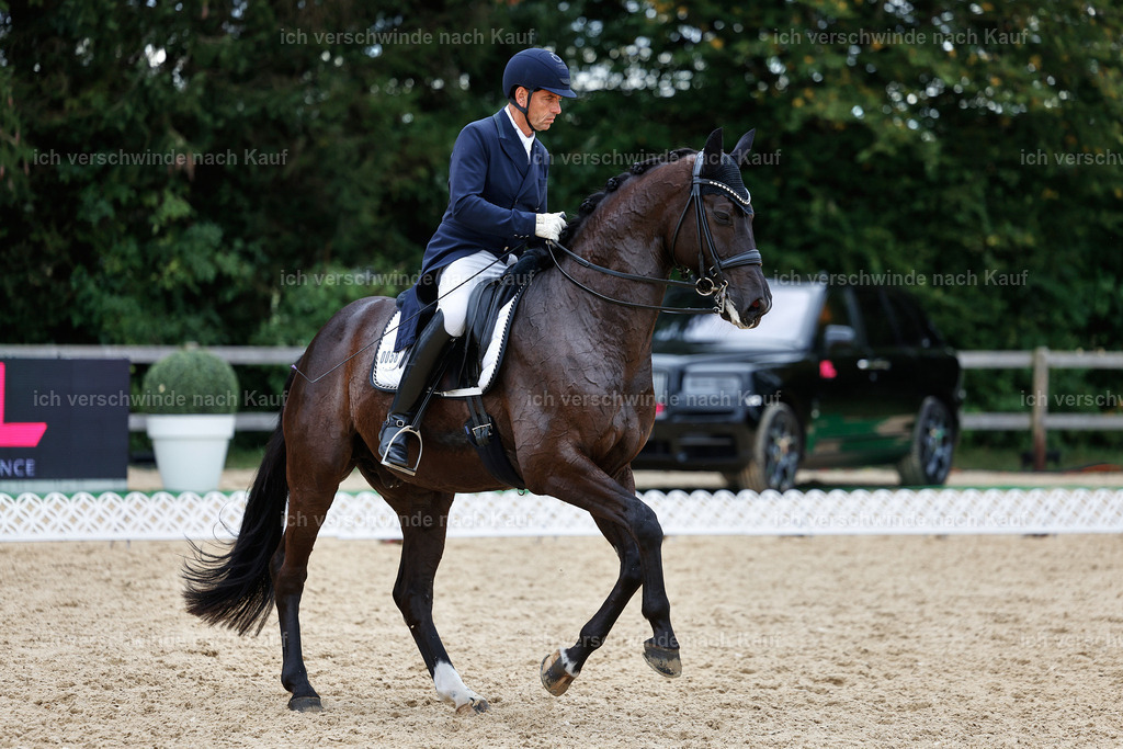 11-058-Dressur S___-StoibPH-1472 | working equitationturnier fotograf videograf stoibphotography marixx film working equitation deutschland reitsport turnierfotografie eventfotografie equestrian events