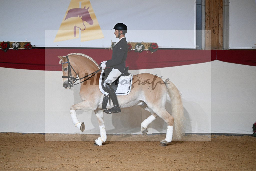 Amiro_1234343 | hf-fotografie - Realisiert mit Pictrs.com