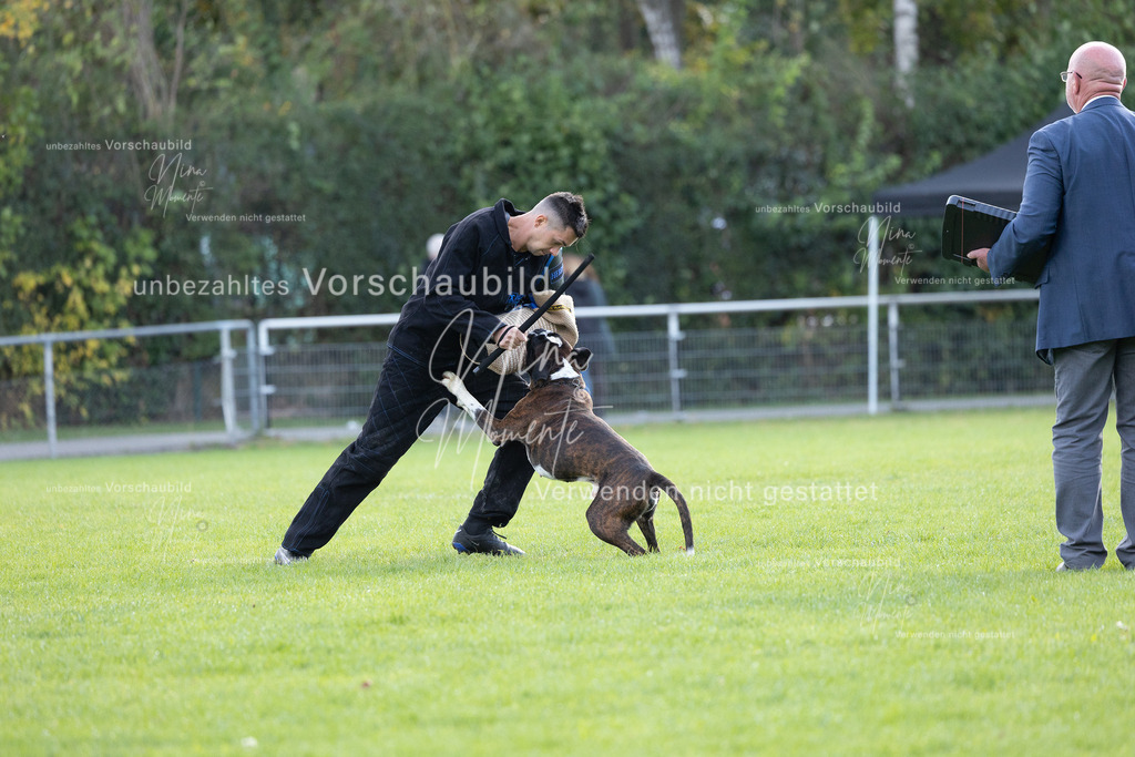 _16A6504 | Einzigartige Fotos von Hunden & Menschen –Actionfotos, Portraits, Vereinsaufnahmen & Paarshootings – authentisch, lebendig & mit Herz.