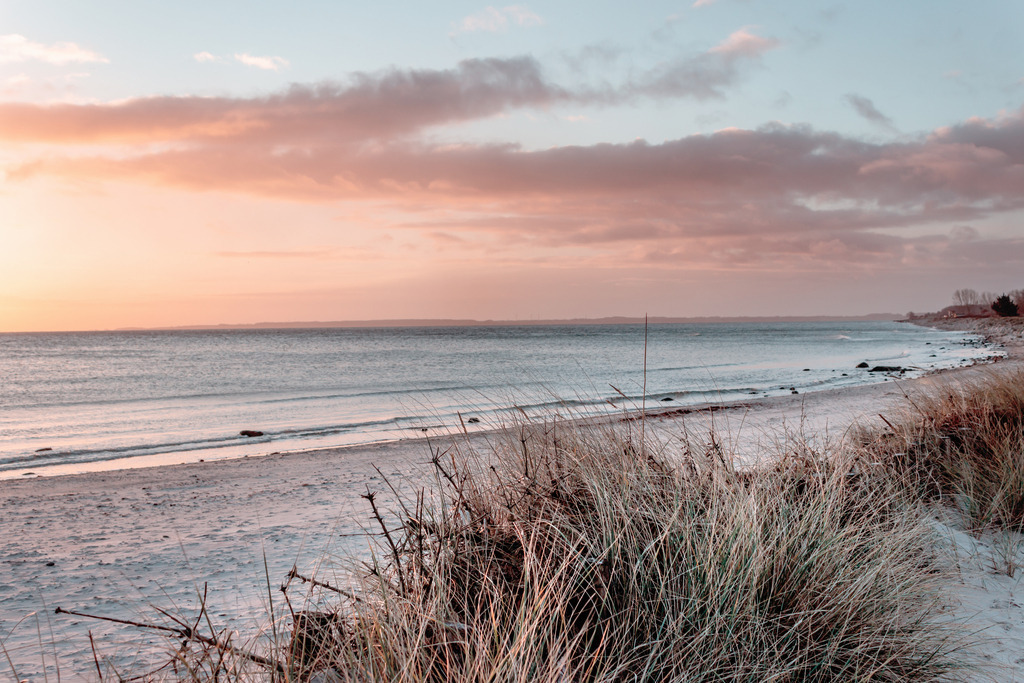 Wandbild: Morgenrot an der Ostsee | Dieses Wandbild im Querformat zeigt einen Sandstrand im Morgenrot. Im Vordergrund befindet sich Strandhafer am Strand. Das pastellartige rot sorgt für eine wohnliche Stimmung. Ob für Ihre Ferienwohnung oder für Ihr Zuhause im Wohnzimmer, in der Küche und im Schlafzimmer dieses maritime Wandbild zaubert einen kleinen Urlaub an Ihre Wände. Dieses Wandbilder ist auf Leinwand, Aluminium-Platte, Acrylglas oder als Holzdruck erhältlich. Die Wandbilder werden individuell für Sie in vielen Abmessungen produziert. Daher passen die Ostseekult Wandbilder immer perfekt an Ihre Wände. - Realisiert mit Pictrs.com
