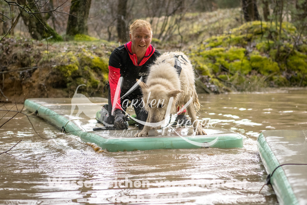 1303_ZZ94133-Bearbeitet | kk-dogfotos
