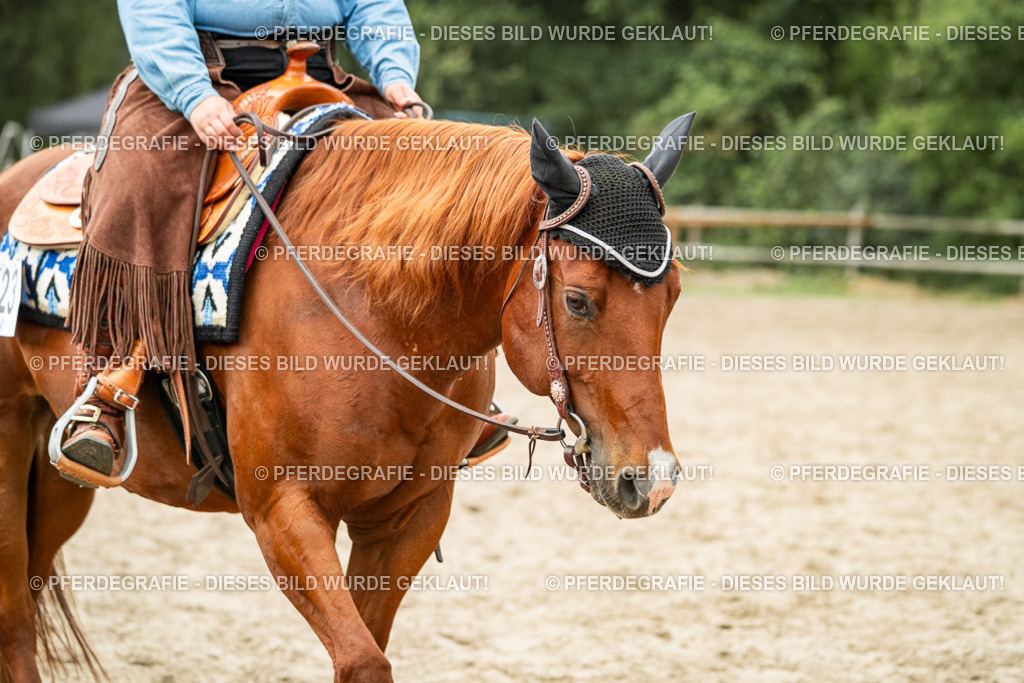 DSC03130 | Pferdegrafie