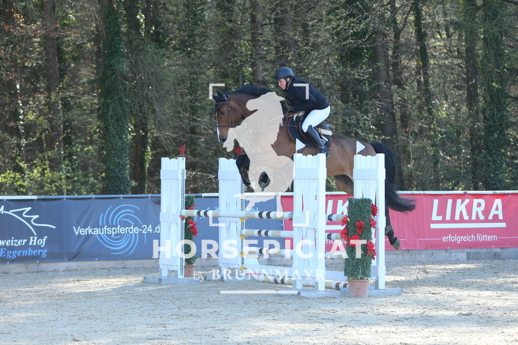 DL2Q1275 | Willkommen bei Brunnmayr - Design & Fotografie – Ihrem Spezialisten für Reitturniere und Pferdeveranstaltungen in Oberösterreich, Salzburg und Bayern! Seit über 17 Jahren sind wir leidenschaftlich dabei.