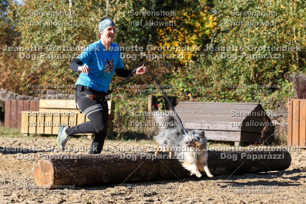 Dog Paparazzi - Strongdog 10-25-2478 | Dog Paparazzi Jeanette Grottendiek Fotografie & Videografie - Realisiert mit Pictrs.com