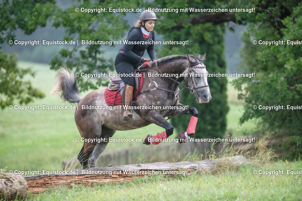 20250726_Vielseitigkeitslehrgang-Marbach_0121 | Foto: Thomas Hartig