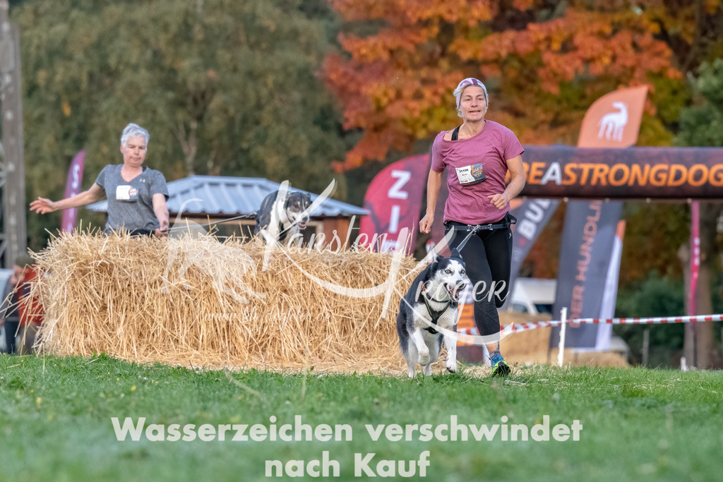 0810_ZZ94598-Bearbeitet | kk-dogfotos