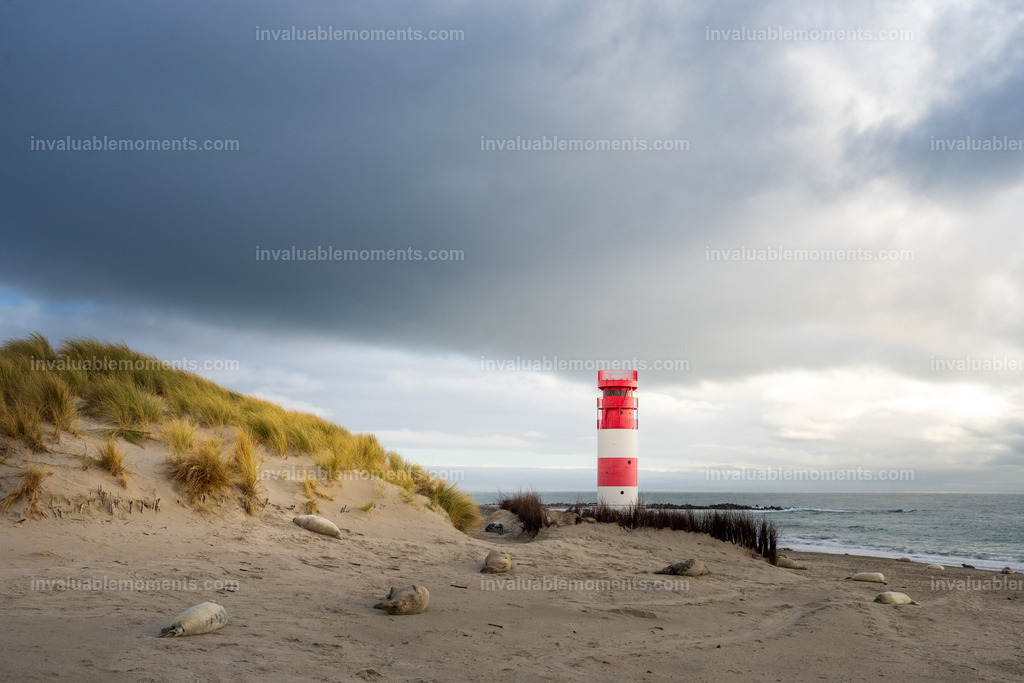 DSC_1318-2-120 | invaluablemoments.com - Realisiert mit Pictrs.com