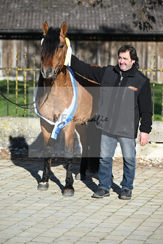 Kat-Nr. 12 Tapadero v. Tape Isidoro_Seefried_49250574 | hf-fotografie - Realisiert mit Pictrs.com