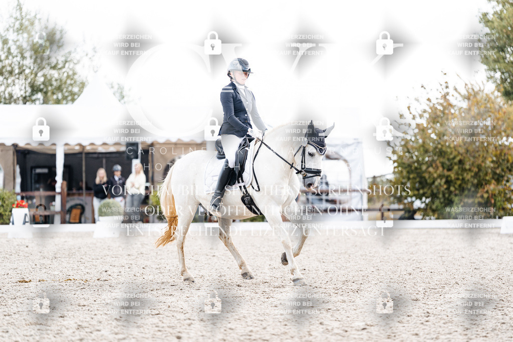 CK901580 | Turnierfotografie Pferdefotografie Trier Rheinland-Pfalz Pferdesport Reitsport Tierfotografie Sportfotografie Pferdevideo Pferdevideografie Equestrianvideography equestrianphotography  - Realisiert mit Pictrs.com
