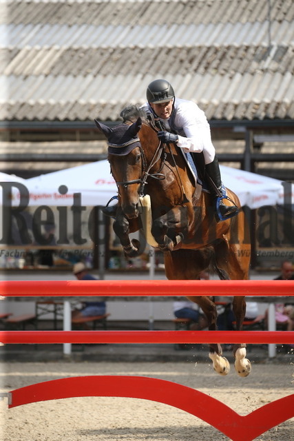 Waiblingen_2022_Springen_Kl.S_Marvin Frey_Con Argentus (3) | Alle Fotos der Reiterjournal Fotografin Doris Matthaes im Reiterjournal Online-Fotoshop. - Realisiert mit Pictrs.com