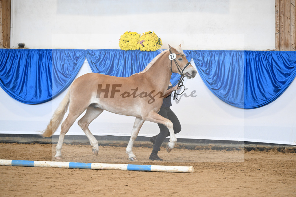 Kat-Nr. 21 nn v. Barion_Stecher_48251008 | hf-fotografie - Realisiert mit Pictrs.com