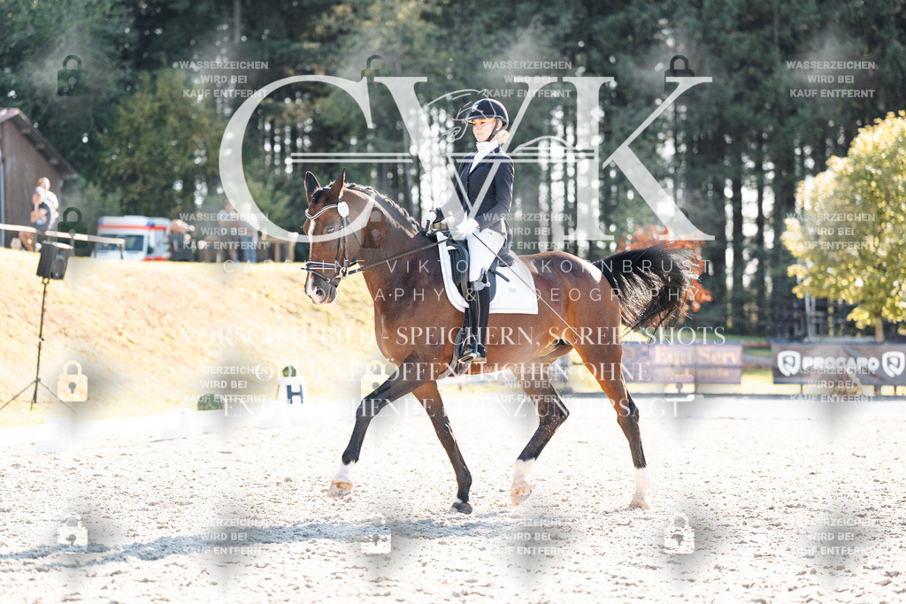 CK906487 | Turnierfotografie Pferdefotografie Trier Rheinland-Pfalz Pferdesport Reitsport Tierfotografie Sportfotografie Pferdevideo Pferdevideografie Equestrianvideography equestrianphotography  - Realisiert mit Pictrs.com