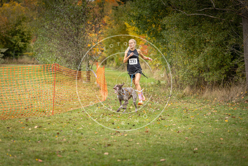 Pfotenfotografie_DV3A4467 | Hundefotografie, Tierfotograf, Pfotenfotografie, Fotoshooting Hund, Hunde Portrait, Hundesport, Hundeportraits, Heideshooting, Hunde, Sportfotograf, Hundefotograf, Turnierhundsport, THS,  - Realisiert mit Pictrs.com
