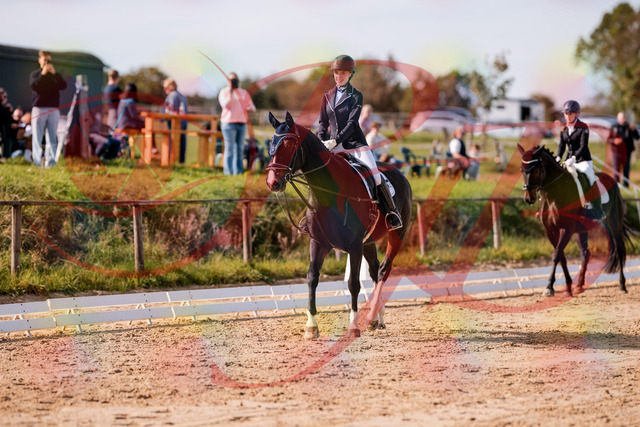 2026_10_03_Siefer-Hof_121329_Z81_13643505 | Professionelle Reitsport-, Turnier- und Eventfotografie von Robert Broda. Galerien mit ausgewählten und bearbeiteten Bildern direkt online ansehen und bestellen.