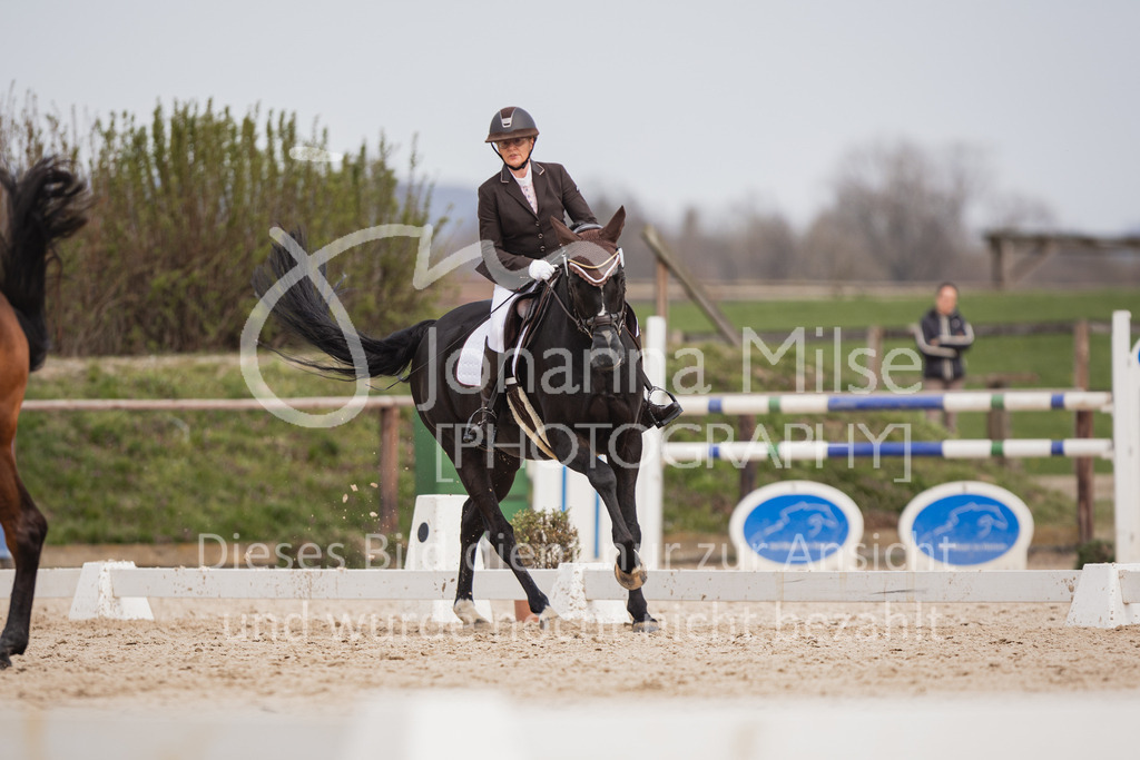 230410_Frühlingsfest_DressurWBA2-316 | Deine schönsten Turniermomente als professionelle Fotos! Entdecke hochwertige Pferdesport-Fotografie im Online-Shop. Jetzt Fotos finden & bestellen!