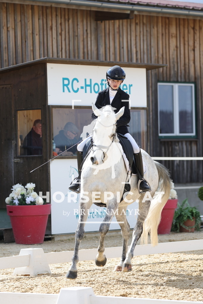 0P6A7746 | Willkommen bei Brunnmayr - Design & Fotografie – Ihrem Spezialisten für Reitturniere und Pferdeveranstaltungen in Oberösterreich, Salzburg und Bayern! Seit über 17 Jahren sind wir leidenschaftlich dabei.