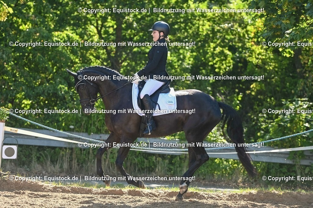 20230715_06_Dressurpferdeprfg. Kl.A_0349 | equistock