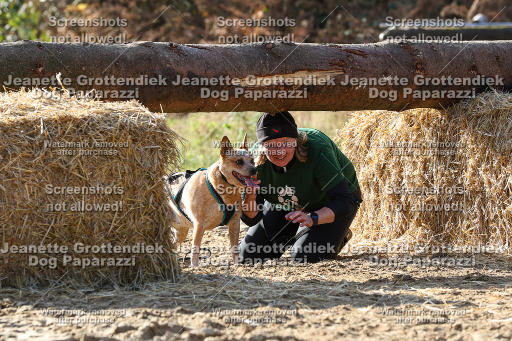 Dog Paparazzi - Strongdog 10-25-5990 | Dog Paparazzi Jeanette Grottendiek Fotografie & Videografie - Realisiert mit Pictrs.com