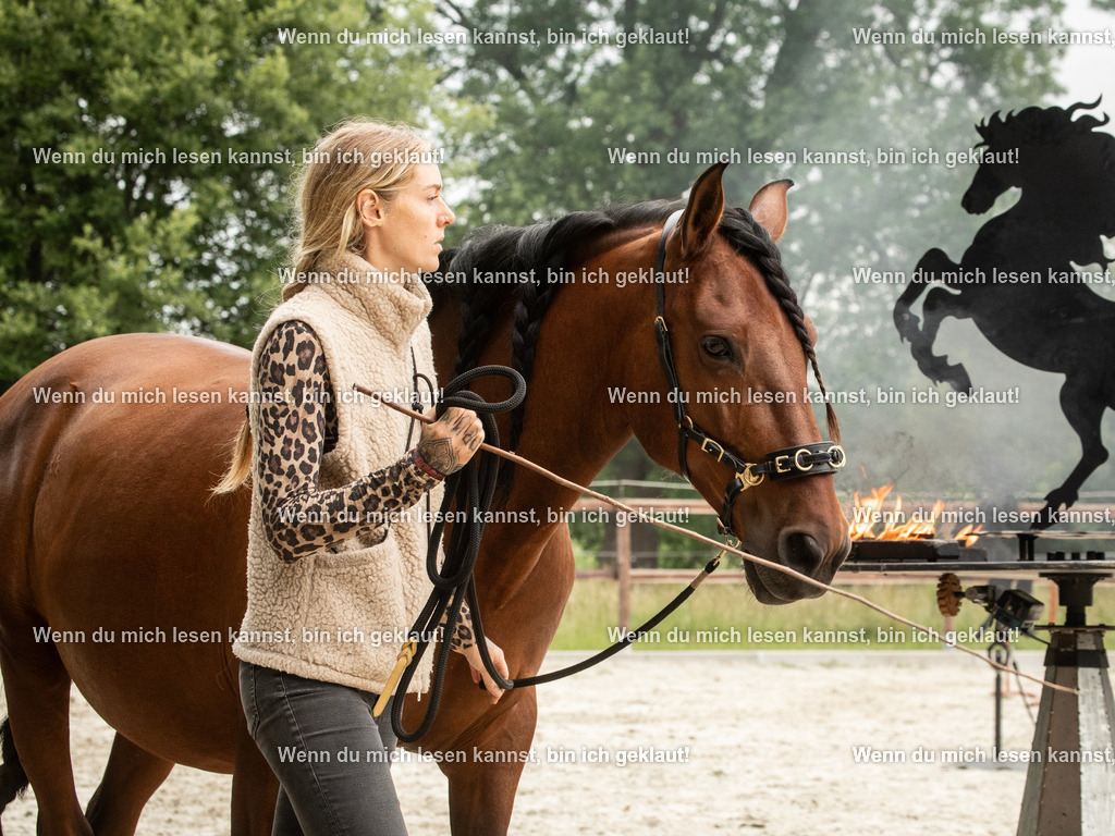 598A6360 | photographylinaismer - Realisiert mit Pictrs.com