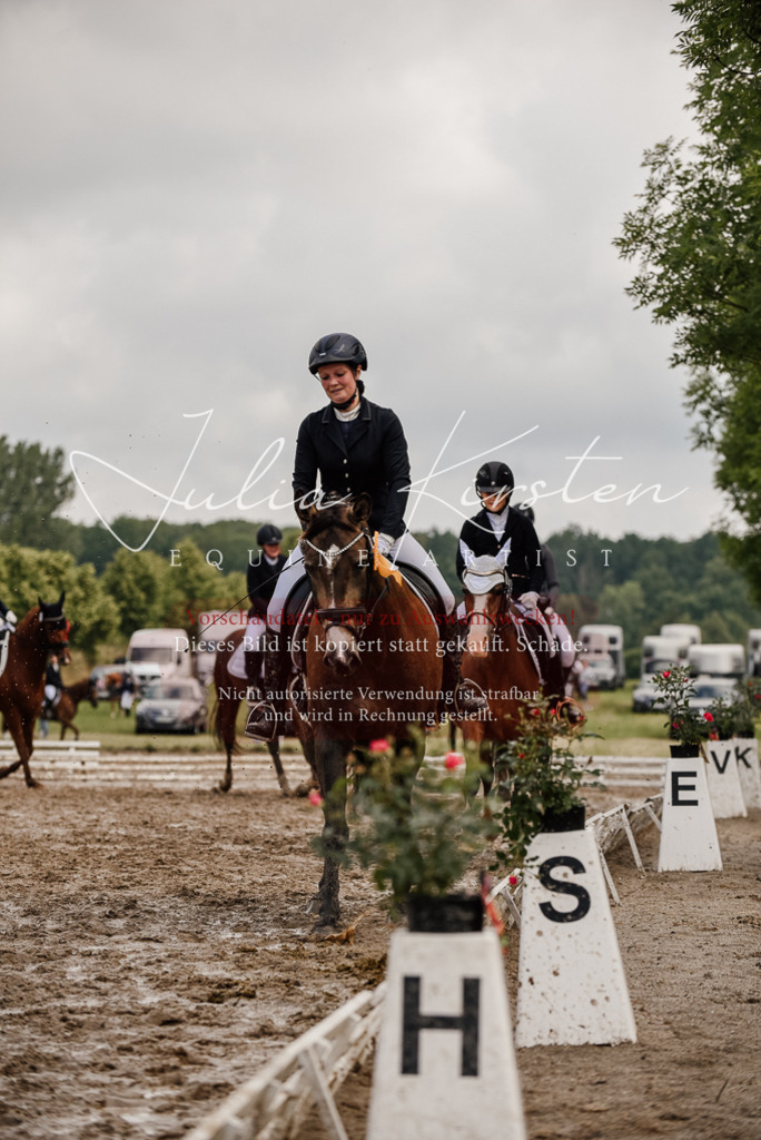 DSC_9388 | Pferde- und Turnierfotografie in Westsachsen. Pferdeportraits, Auftragszeichnungen und intuitive Kunst.