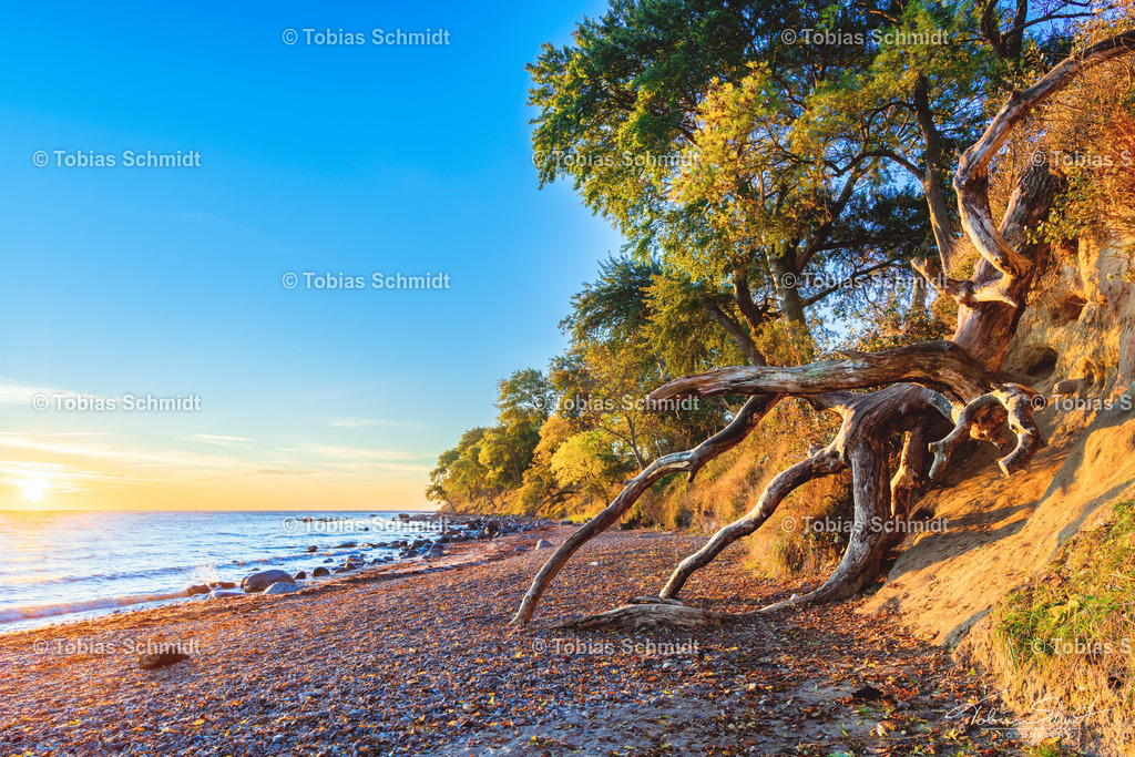 Fehmarn__DSC7896-HDR | Fotoprodukte, Kalender und Wanddeko direkt vom Fotografen auf Fehmarn. Ob Wandbild auf Alu-Dibond, hinter Acrylglas oder auf Leinwand – hier können Sie Ihr Lieblingsbild kaufen. - Realisiert mit Pictrs.com