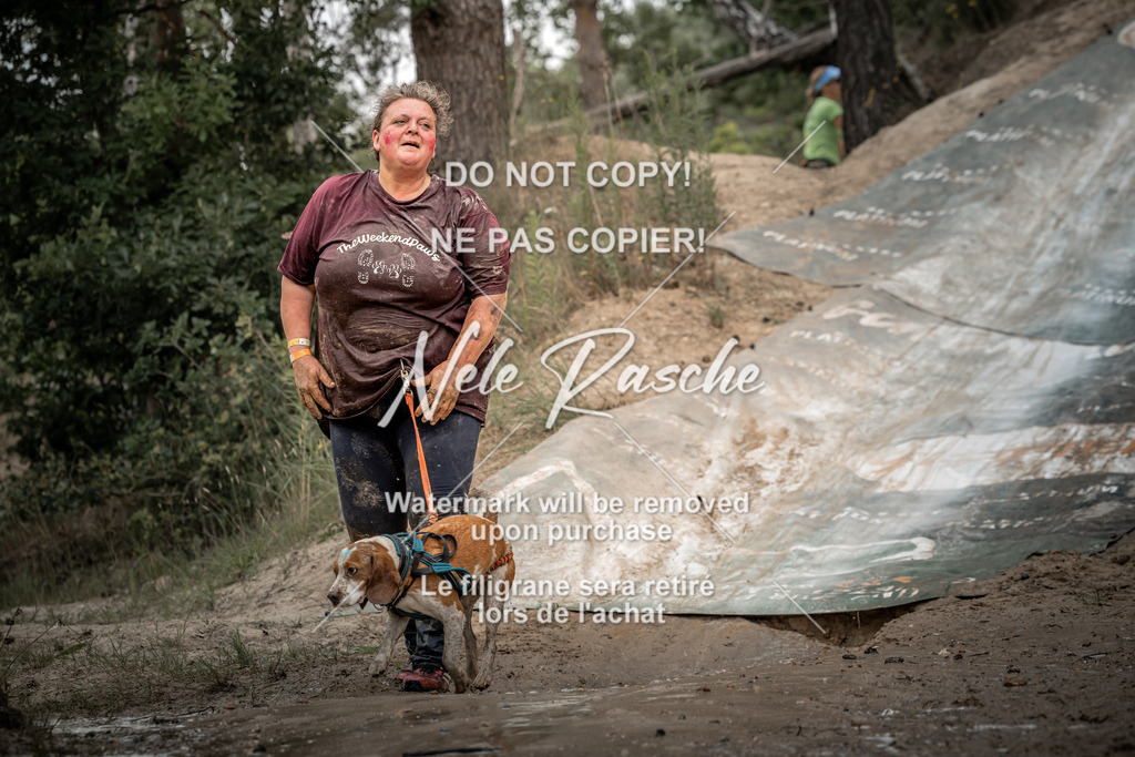 nelerasche_sa1500-1530_149 | nelerasche