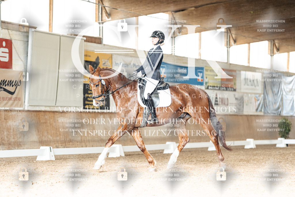 CK902414 | Turnierfotografie Pferdefotografie Trier Rheinland-Pfalz Pferdesport Reitsport Tierfotografie Sportfotografie Pferdevideo Pferdevideografie Equestrianvideography equestrianphotography  - Realisiert mit Pictrs.com