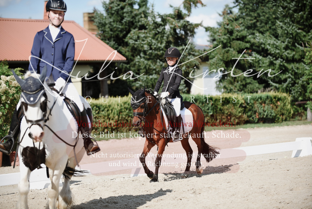 DSC_0040 | Pferde- und Turnierfotografie in Westsachsen. Pferdeportraits, Auftragszeichnungen und intuitive Kunst.