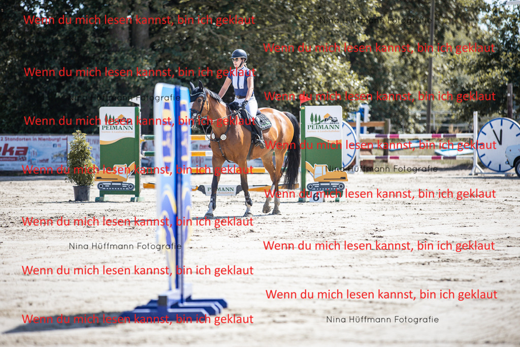 BK1A6594 | Turnierbilder Turnierfotos Nina Hüffmann Turnierfotografie Pferdefotografie Tierzeichnung Haustierzeichnung Pferdezeichnung Hundezeichnung Videograf  - Realisiert mit Pictrs.com