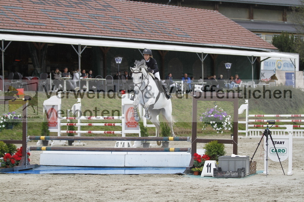 _MG_3079 | equestrian-live-com