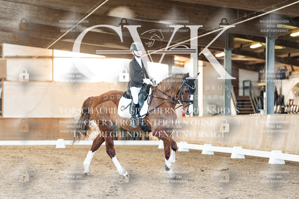 CK906722 | Turnierfotografie Pferdefotografie Trier Rheinland-Pfalz Pferdesport Reitsport Tierfotografie Sportfotografie Pferdevideo Pferdevideografie Equestrianvideography equestrianphotography  - Realisiert mit Pictrs.com
