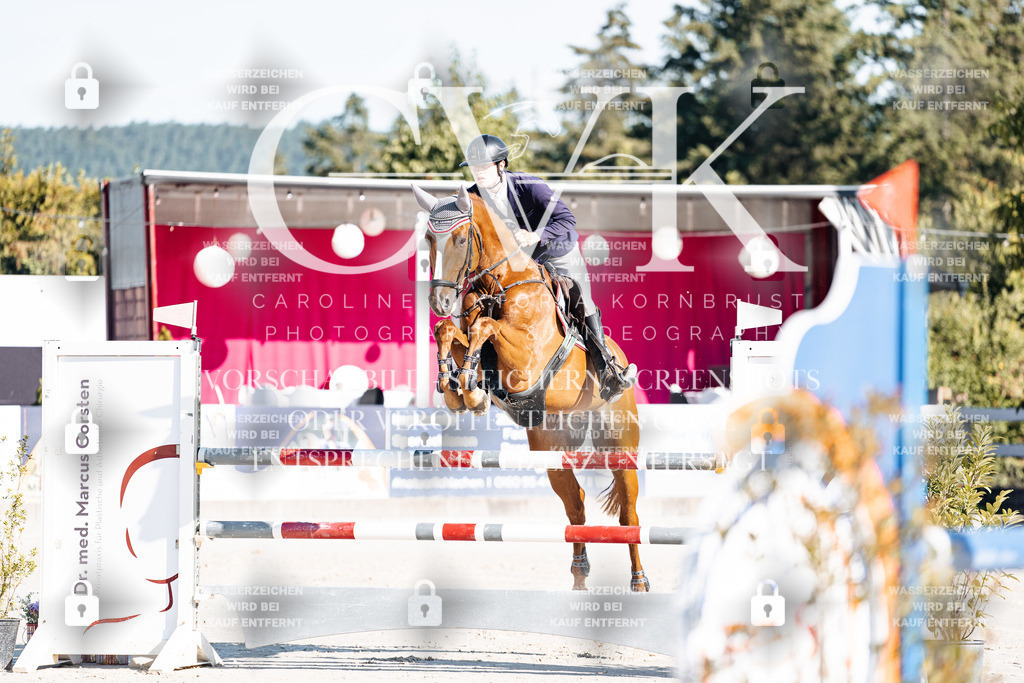 CK904311 | Turnierfotografie Pferdefotografie Trier Rheinland-Pfalz Pferdesport Reitsport Tierfotografie Sportfotografie Pferdevideo Pferdevideografie Equestrianvideography equestrianphotography  - Realisiert mit Pictrs.com