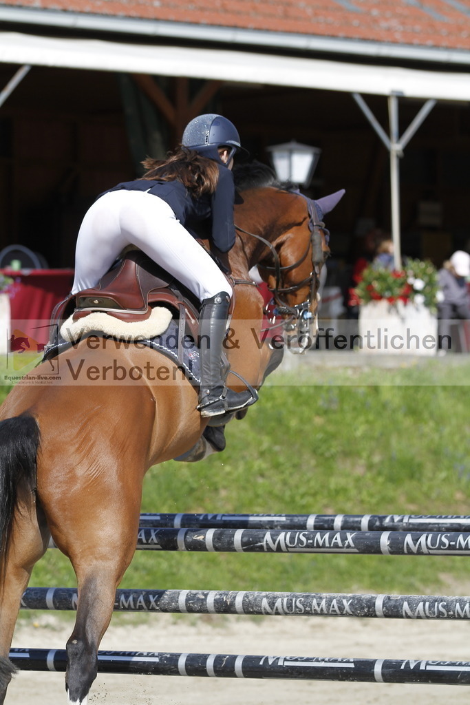 _MG_9223 | equestrian-live-com