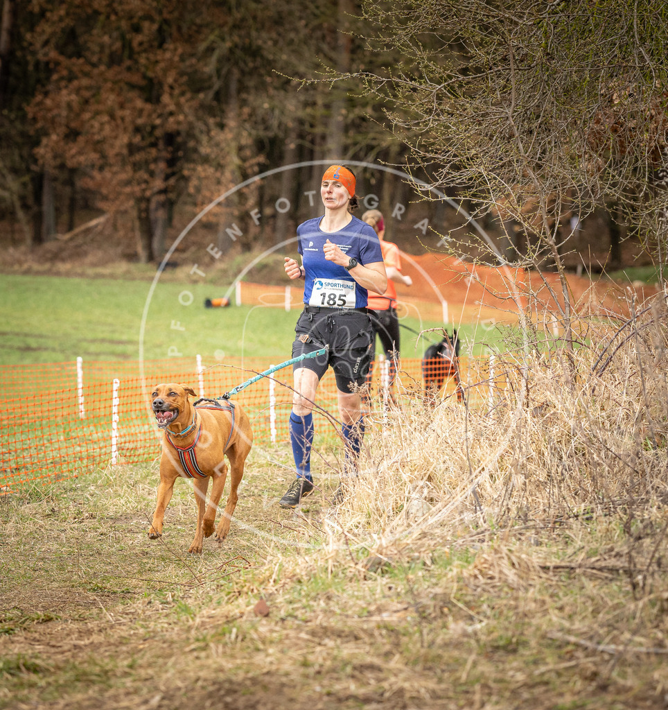 DV3A2578 | Hundefotografie, Tierfotograf, Pfotenfotografie, Fotoshooting Hund, Hunde Portrait, Hundesport, Hundeportraits, Heideshooting, Hunde, Sportfotograf, Hundefotograf, Turnierhundsport, THS,  - Realisiert mit Pictrs.com