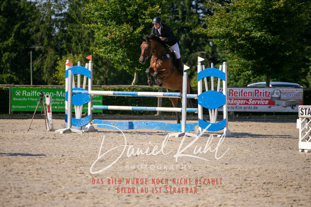 IMG_5325 | Turniersportfotografie; Pferdefotografie; Dressurfotografie