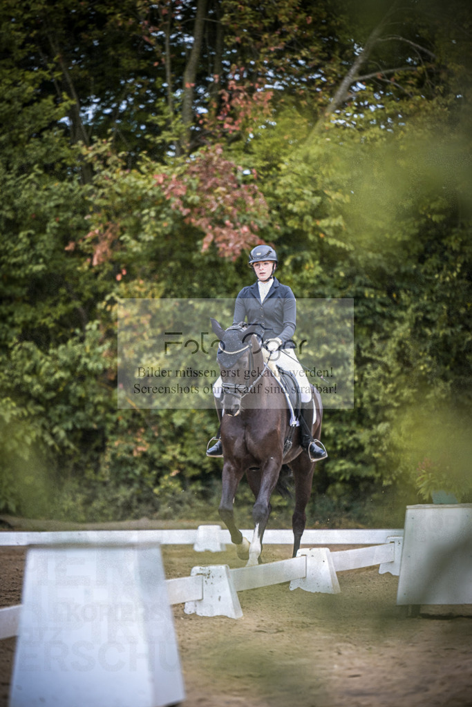 DOS_4818 | Entdecke hochwertige Reitturnierfotos von Foto Oger. Professionell, emotional und authentisch – jetzt Lieblingsmomente im Shop bestellen.Deutschlandweite Turnierfotografie. - Realisiert mit Pictrs.com