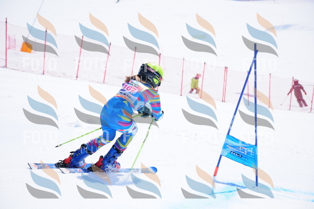 DSC_5448 | holidayphoto