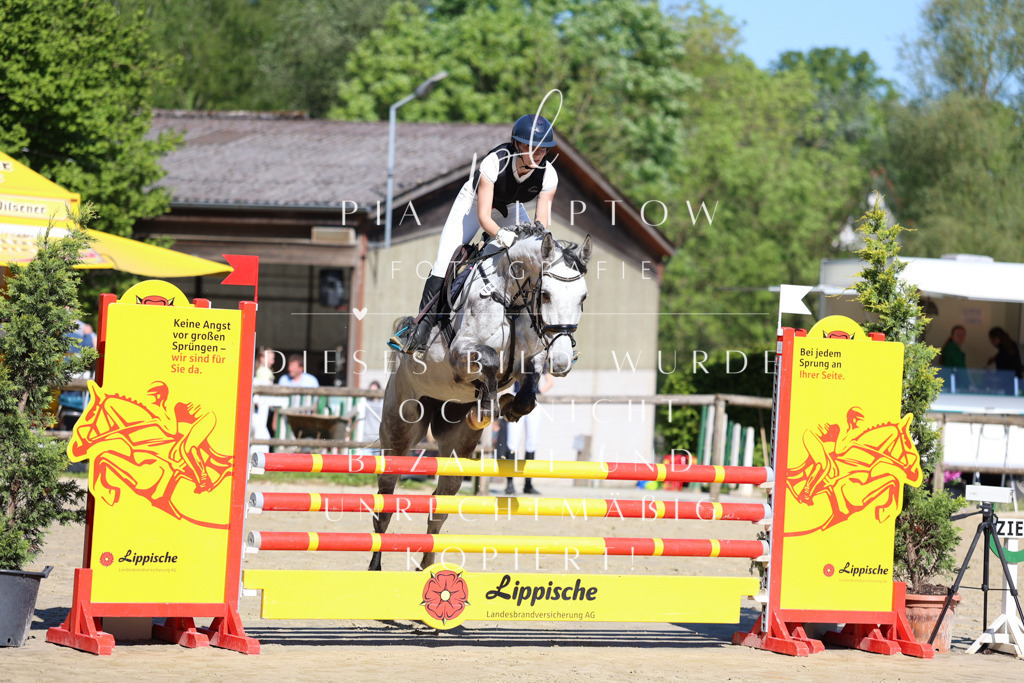 IMGS6632 | pl-fotografie