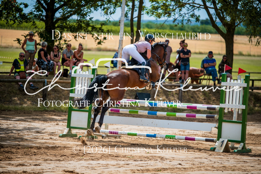 DSC_8471 | Christina-Kleuver