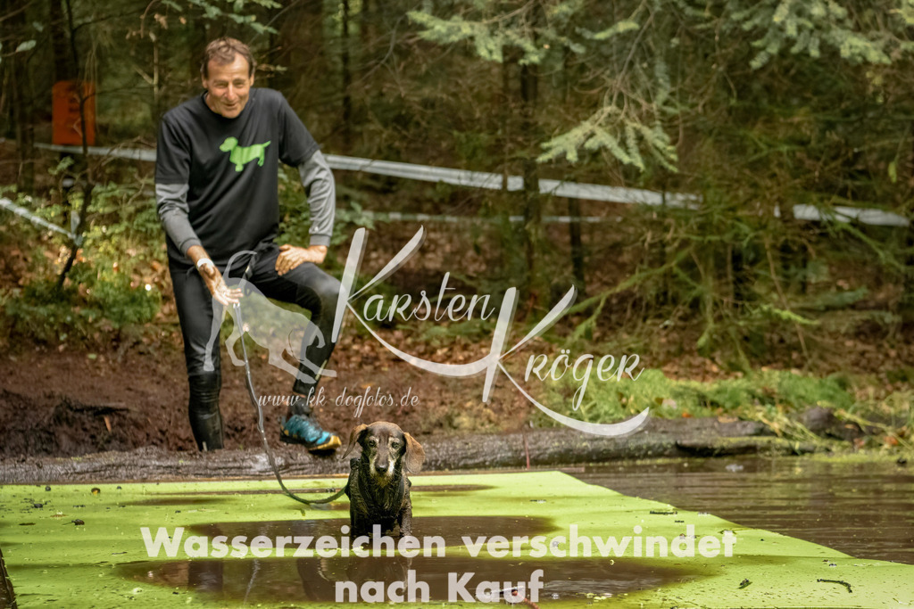 1224_ZZ94366-Bearbeitet | kk-dogfotos