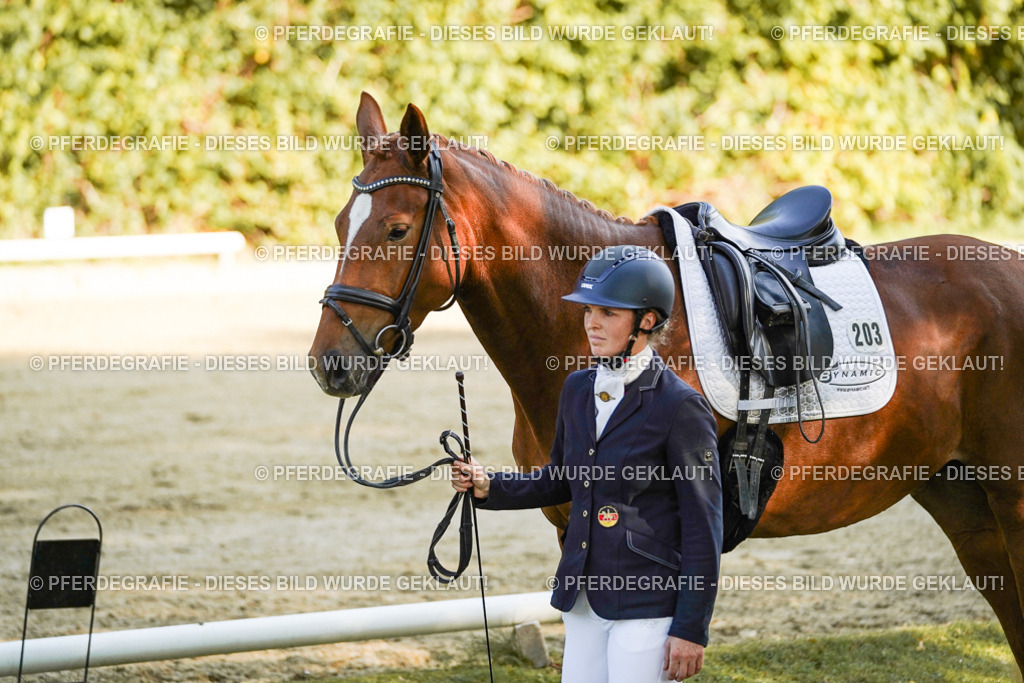 DSC05928 | Pferdegrafie