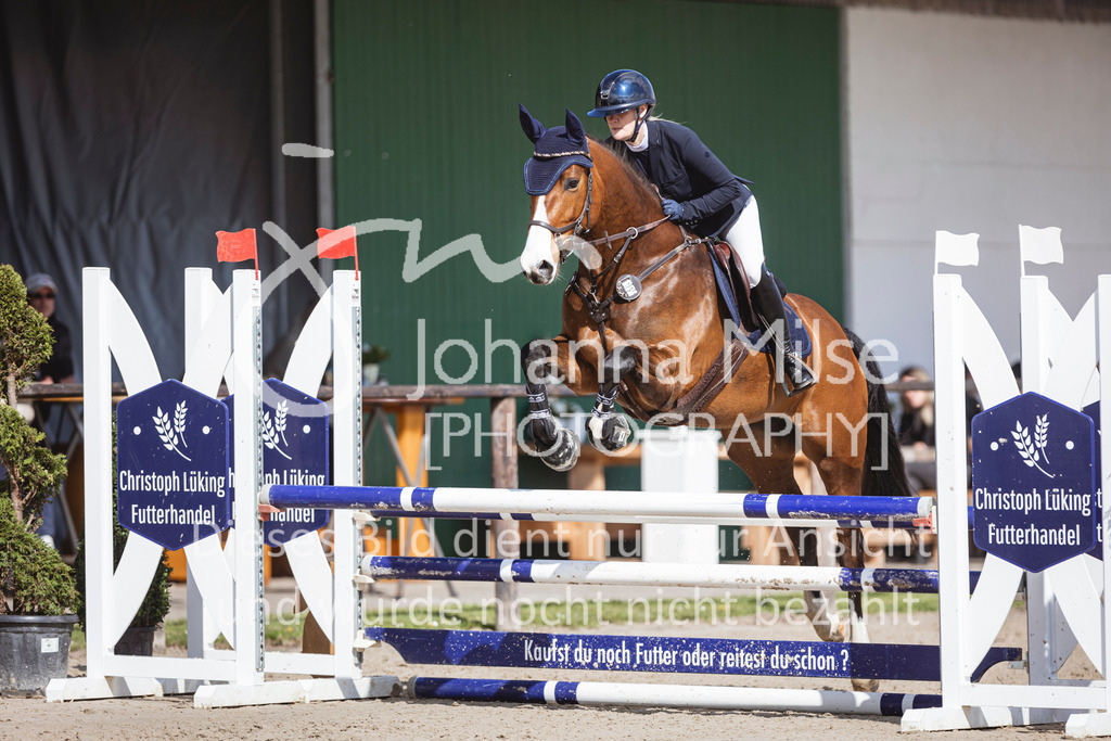 250419_Frühlingsfest_A-Stil1-447 | Deine schönsten Turniermomente als professionelle Fotos! Entdecke hochwertige Pferdesport-Fotografie im Online-Shop. Jetzt Fotos finden & bestellen!