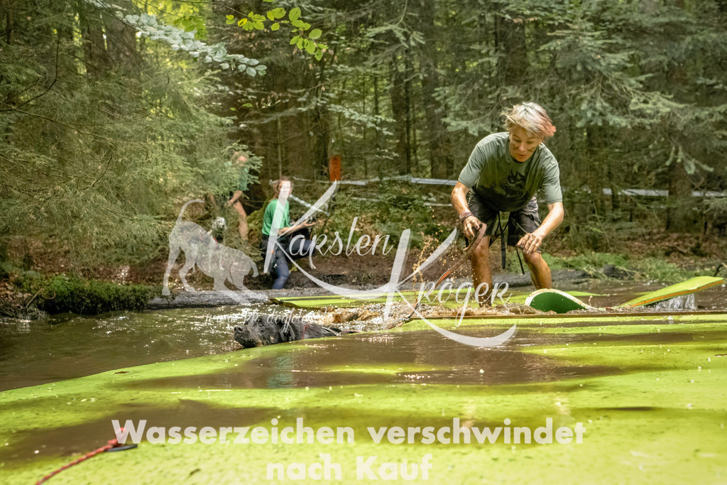 1410_ZZ91311-Bearbeitet | kk-dogfotos