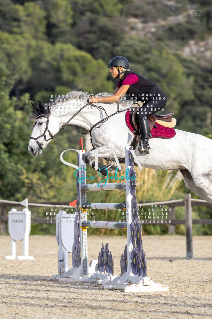 IMG_5060 | s-jay-photography - Realisiert mit Pictrs.com